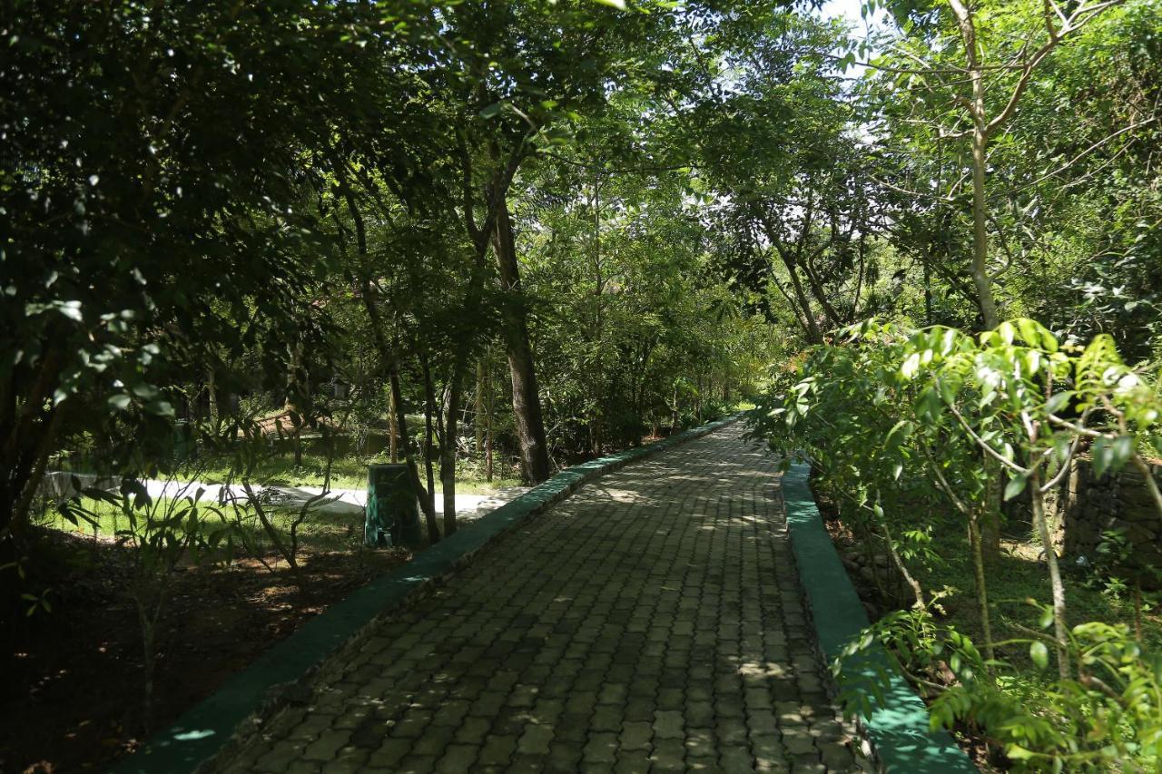 Laluna Ayurveda Resort Bentota Exteriér fotografie
